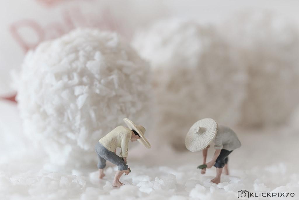 Dairy Dilemmas: Understanding Lactose and Its Digestive Challenges
