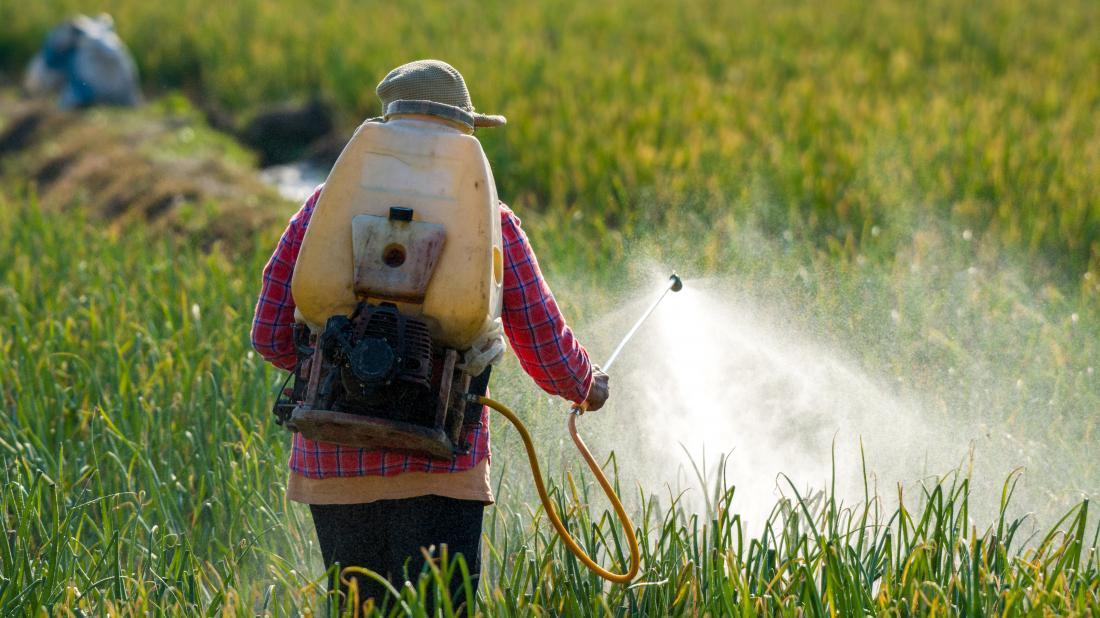 Empowering Consumers:⁤ Making Informed Choices for a ​Healthier Future