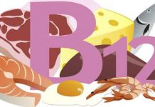 5 natural options for vitamin B12 you should include in your daily diet