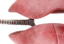 Growing 3D miniature lungs from stem cells