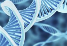 Under 10 Percent Of Human DNA Actually Has A Function, Claims New Study