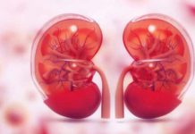 A health care provider gives 4 ideas to keep kidneys healthy