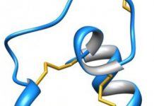 Worm Pill Could Ease Autoimmune Disease Symptoms