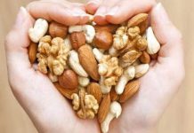 Meat protein increases cardiac arrest risk; protein from seeds helpful for heart