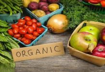 India’s organic food market is about to cultivate in future