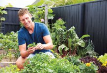 Luke Hines Smart Carbs guide: keto, low-carb and sustain zones