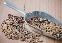 Health and fitness benefits of panch phoron or Indian five spice blend you have to know