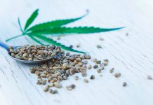 Hemp seed oil: The clever way of getting your Omega efas