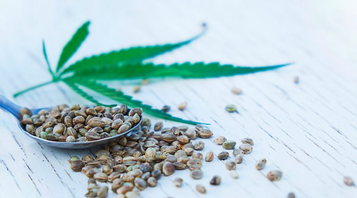 Hemp seed oil: The clever way of getting your Omega efas