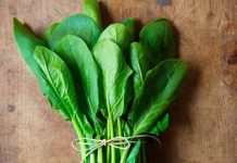 Spinach extract, flaxseed, green tea herb and much more C foods that could help you to lose fat