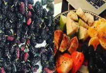 Cancer survivor, Manisha Koirala’s Instagram is #Goals for individuals that wish to live healthier