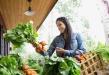 Which foods, fruits and vegetables are better of food organic?