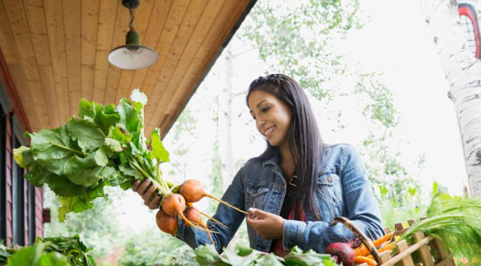 Which foods, fruits and vegetables are better of food organic?