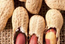 The taste Of Dry Roasted Peanuts Might just ‘t be Worth It