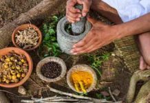 6 herbs to enhance your diet program to get a healthier, happier you