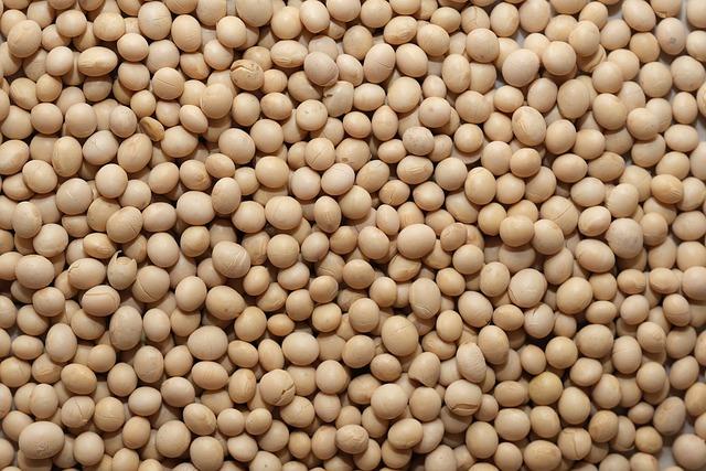 Potential Risks and Concerns with Soy Consumption