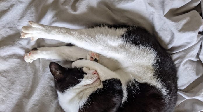 Simple stretches to enhance joint flexibility Simple stretches to enhance joint flexibility