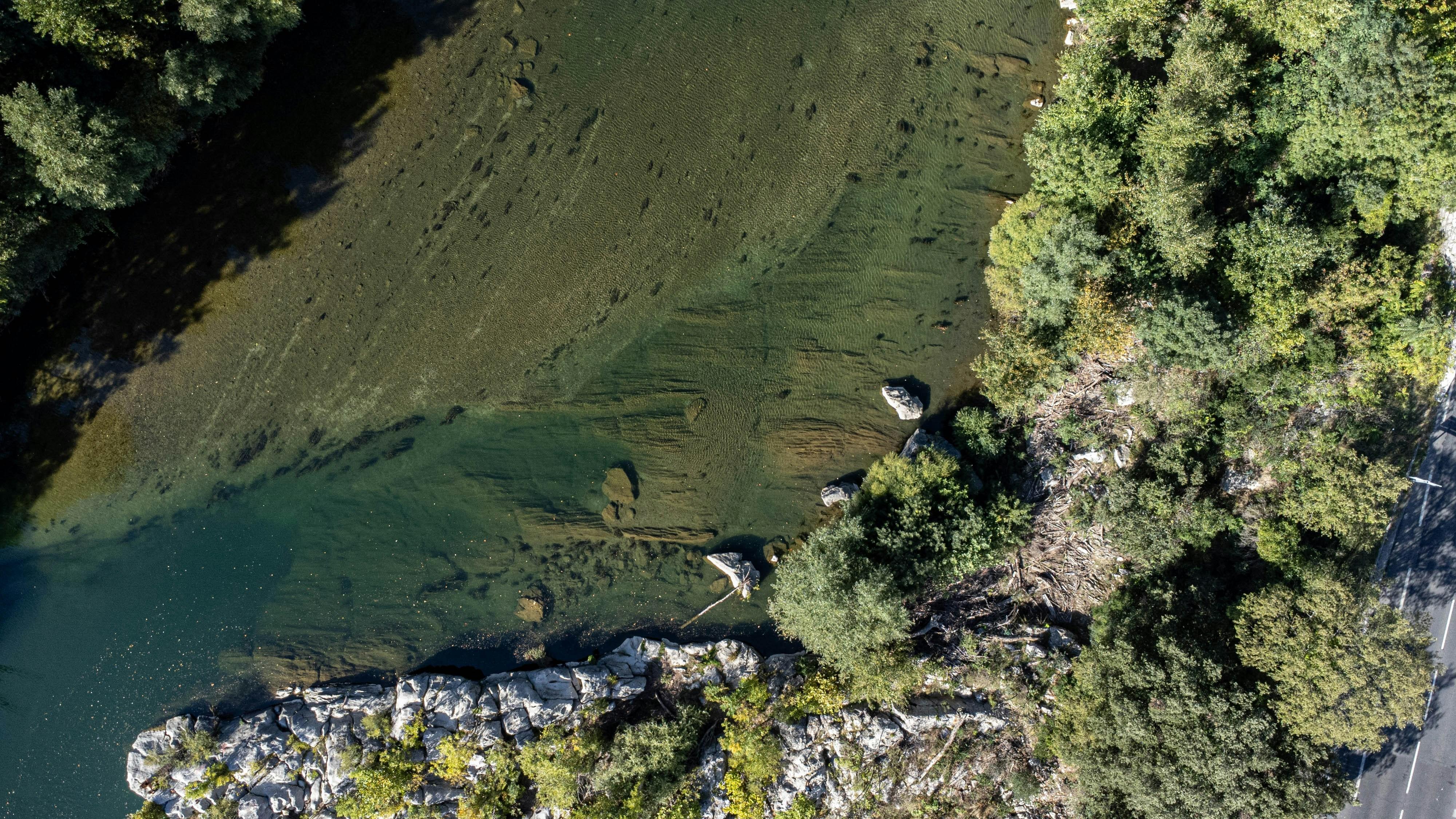 Incorporating Natures Elements for a Refreshing Ambiance