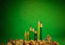 The Truth Behind Low-Carb Diets The Truth Behind Low-Carb Diets