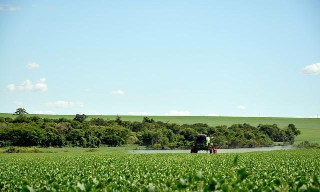Is Soy Good or Bad for Health Is Soy Good or Bad for Health