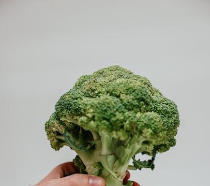 Tips for Sustainable Weight Loss Through Diet Tips for Sustainable Weight Loss Through Diet