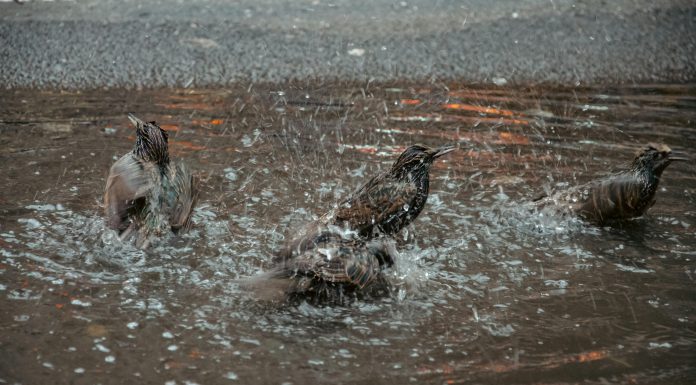 The Benefits of Cooling Down After a Workout The Benefits of Cooling Down After a Workout