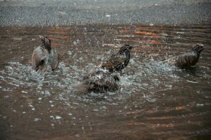 The Benefits of Cooling Down After a Workout