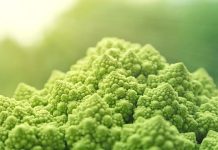 Veganism and Muscle Building: Can It Work Veganism and Muscle Building: Can It Work