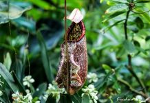 Essential nutrients for overall wellness Essential nutrients for overall wellness