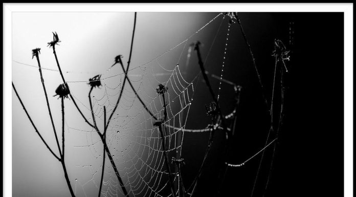 Stretching routines for muscle recovery Stretching routines for muscle recovery