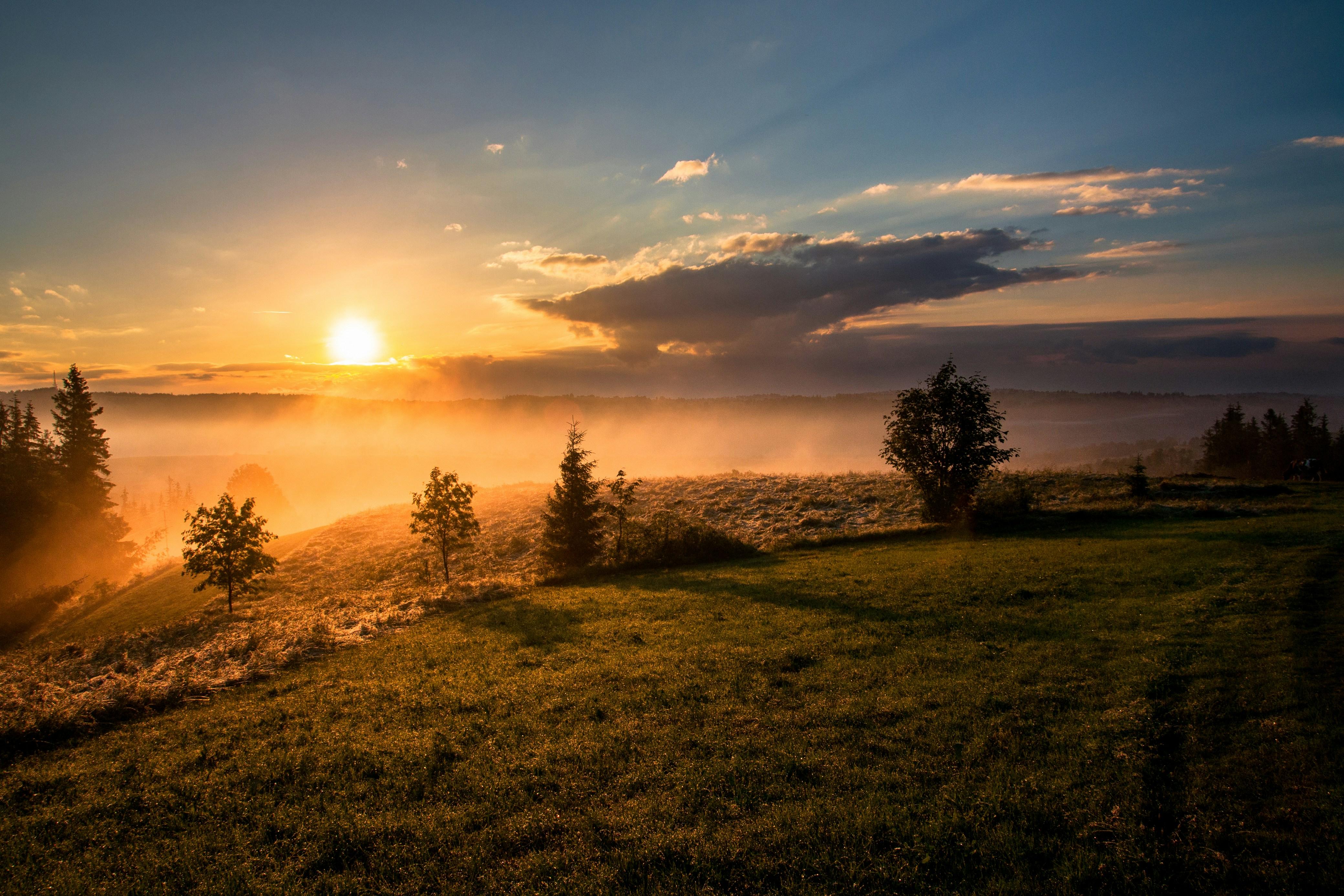 Harnessing the Power of Mindfulness in Morning Workouts