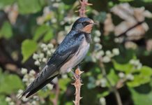 How to Strengthen Your Back for Better Mobility How to Strengthen Your Back for Better Mobility