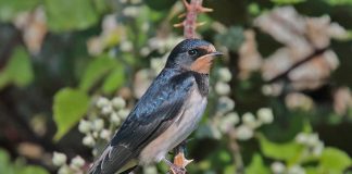 How to Strengthen Your Back for Better Mobility How to Strengthen Your Back for Better Mobility