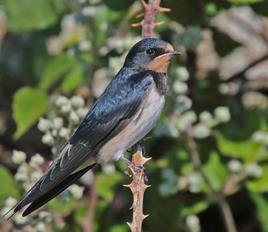 How to Strengthen Your Back for Better Mobility How to Strengthen Your Back for Better Mobility
