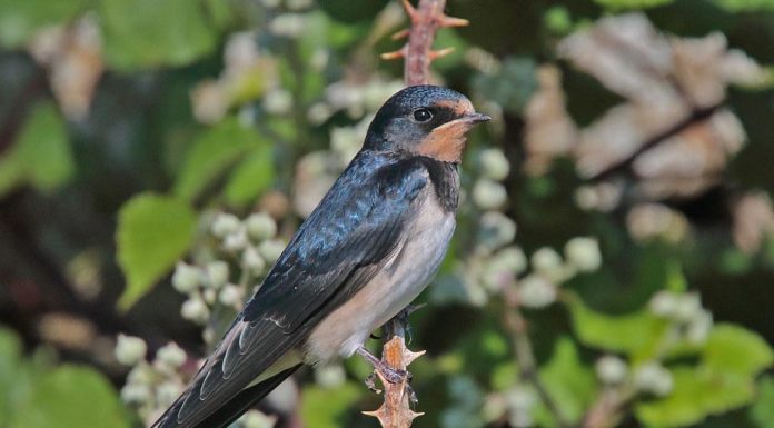 How to Strengthen Your Back for Better Mobility How to Strengthen Your Back for Better Mobility