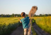 The Link Between Childhood Trauma and Adult Health The Link Between Childhood Trauma and Adult Health