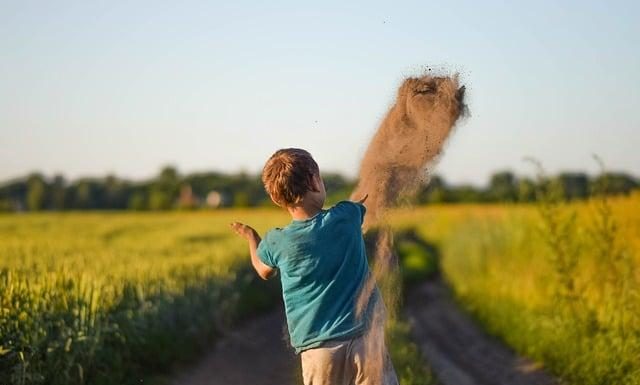 The Link Between Childhood Trauma and Adult Health The Link Between Childhood Trauma and Adult Health