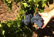 How to Eat Mindfully for Lasting Weight Loss How to Eat Mindfully for Lasting Weight Loss