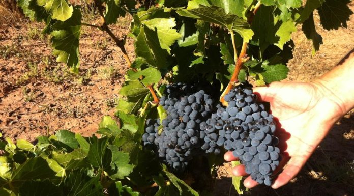 How to Eat Mindfully for Lasting Weight Loss How to Eat Mindfully for Lasting Weight Loss