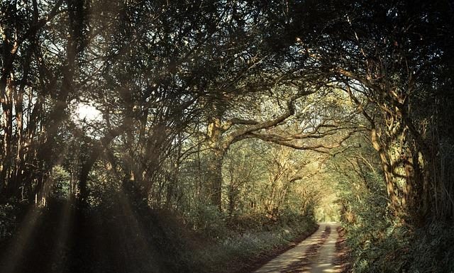 Can Setting Goals Limit Spontaneity Can Setting Goals Limit Spontaneity