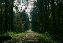 Breathing Techniques to Enhance Workout Efficiency Breathing Techniques to Enhance Workout Efficiency