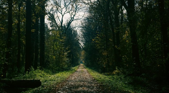 Breathing Techniques to Enhance Workout Efficiency Breathing Techniques to Enhance Workout Efficiency