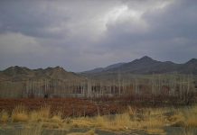 Natural remedies for boosting energy levels Natural remedies for boosting energy levels