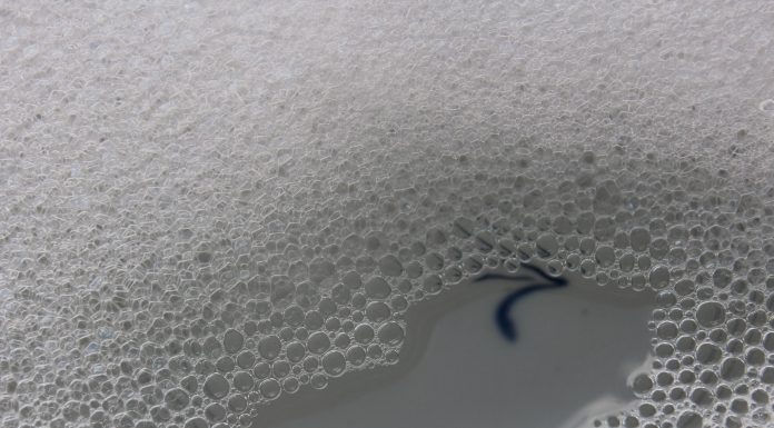 How to make wellness an everyday priority How to make wellness an everyday priority