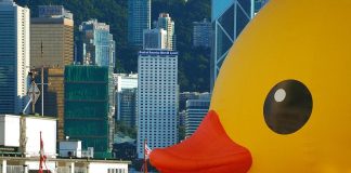 How to Find Joy in Everyday Routines How to Find Joy in Everyday Routines