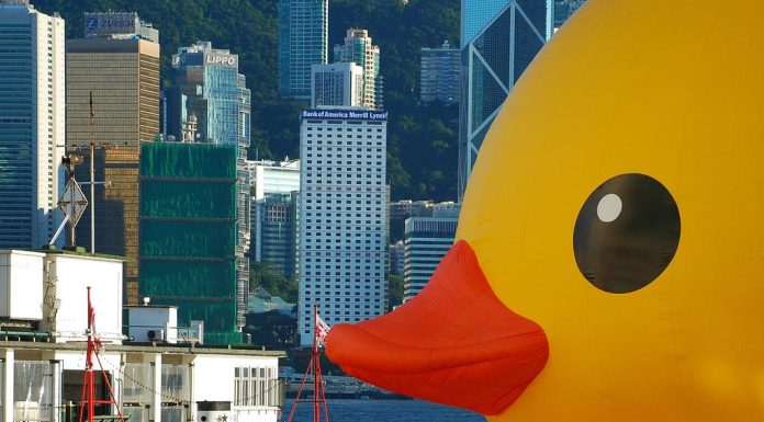 How to Find Joy in Everyday Routines How to Find Joy in Everyday Routines