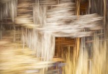 Strategies for a more intentional lifestyle Strategies for a more intentional lifestyle