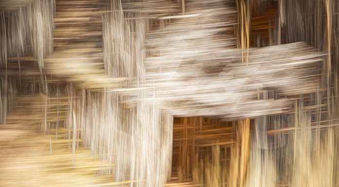 Strategies for a more intentional lifestyle Strategies for a more intentional lifestyle