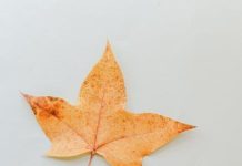 Simple changes to reduce daily stress Simple changes to reduce daily stress