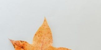 Simple changes to reduce daily stress Simple changes to reduce daily stress